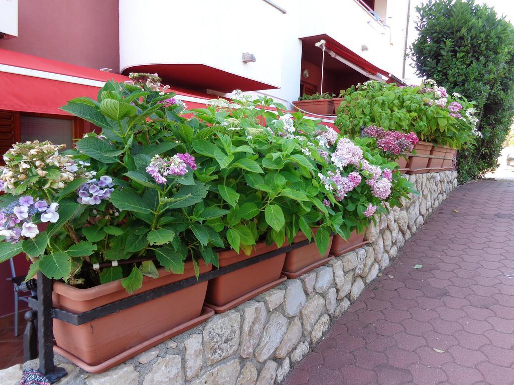 Apartmani Adrijan Krk Krk Town Esterno foto